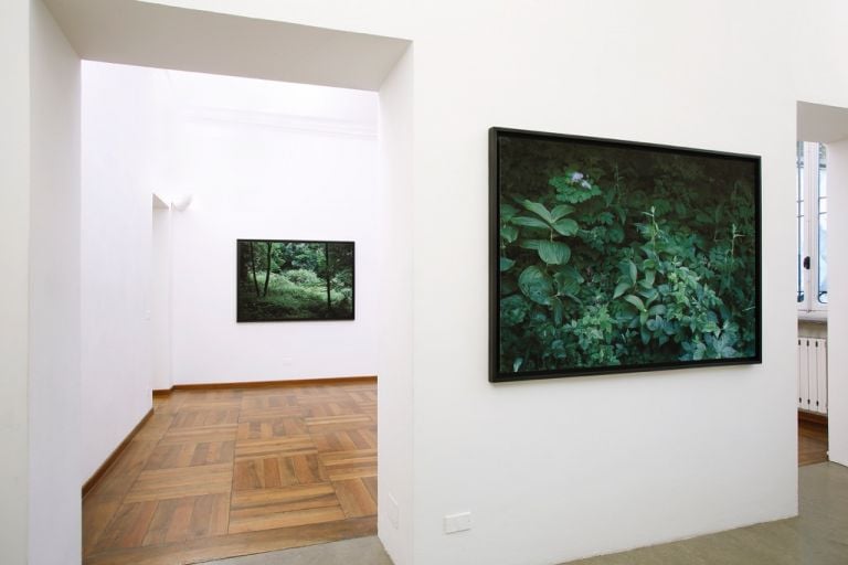 Gioberto Noro – Aperture - exhibition view at Galleria Alberto Peola, Torino 2016