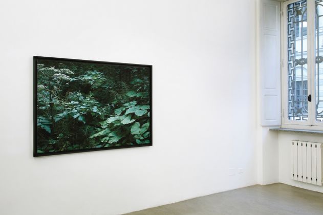 Gioberto Noro – Aperture - exhibition view at Galleria Alberto Peola, Torino 2016