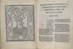 Ludovico Ariosto, Orlando furioso, Ferrara, Giovanni Mazzocchi, 22 aprile 1516. 4°, Londra, The British Library