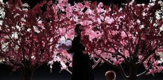Madama Butterfly - photo Brescia-Amisano - Teatro alla Scala