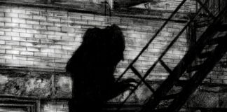 NYsferatu, still video