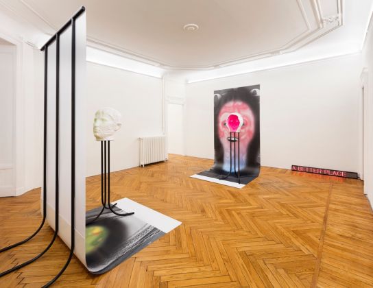 Patrick Tuttofuoco – Pretty Good Privacy – installation view at Federica Schiavo Gallery, Milano 2016 – photo Andrea Rossetti