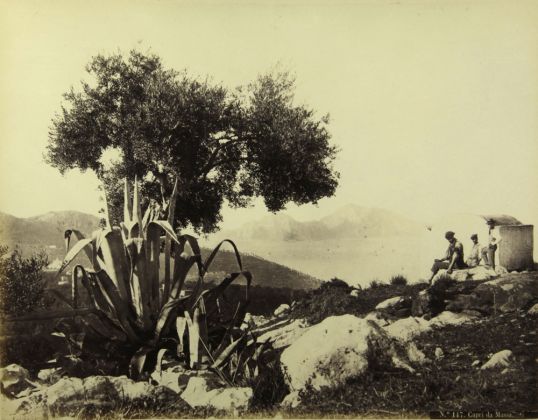 Robert Rive, Capri da Massa, 1860-1870, Stampa all’albumina, cm 19,5x25