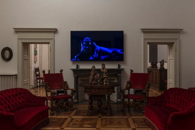 Robert Wilson, Ivory. Black Panther, 2007 - photo tenderinifotografia.com (c) FAI - Fondo Ambiente Italiano - Villa Panza