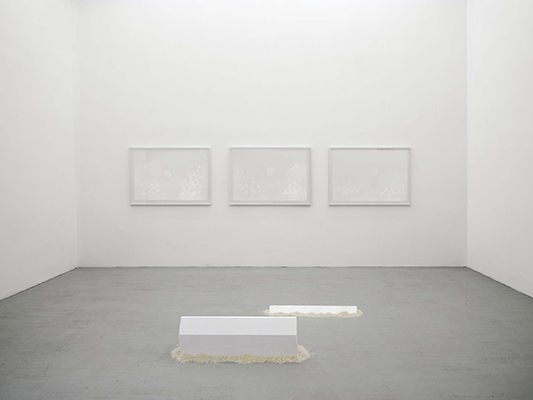 Wolfgang Laib – exhibition view at Galleria Alfonso Artiaco, Napoli 2016 - photo Luciano Romano