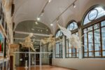 Ai Weiwei, Libero , exhibition view at Palazzo Strozzi, Firenze 2016, courtesy Fondazione Palazzo Strozzi, photo Alessandro Moggi