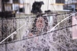 Chiharu Shiota, Where are you going?, Le Bon Marché, Parigi (foto Le Bon Marché, Gabriel de la Chapelle)