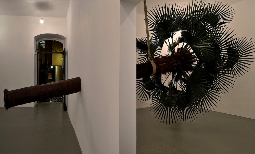 Elisabetta Benassi, Letargo. Exhibition view at Magazzino, Roma 2017