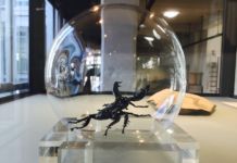 Fabrizio Cotognini – Is a Question of Time – exhibition view at Museo Archeologico Provinciale di Potenza, 2016