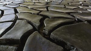 Alberto Burri celebrato a Los Angeles. A 40 anni dal Grande Nero Cretto donato al campus