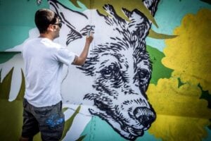 Quando la Street Art rende bello un cantiere. A Roma succede con Lucamaleonte