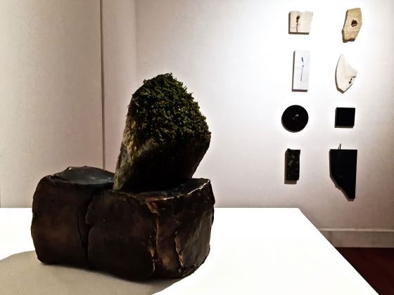 Ilaria Cuccagna, Ossimori. Exhibition view at Galleria Riccardo Crespi, Milano 2017