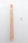 Jukhee Kwon, Liberi è bello, 2016