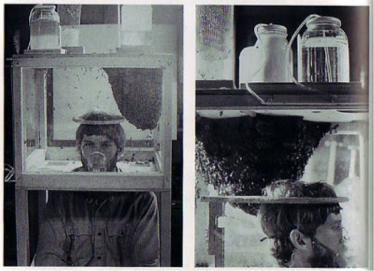 Mark Thompson, Live-In Hive, 1976. Performance