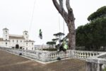 Potatura creativa a Villa Medici, Roma