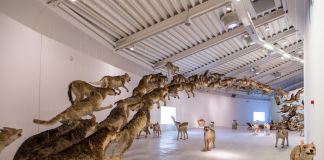 Cai Guo-Qiang, Head on, Centro Pecci, Prato, 2016