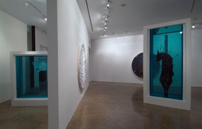 Damien Hirst. Installation view at Goss Gallery, Dallas