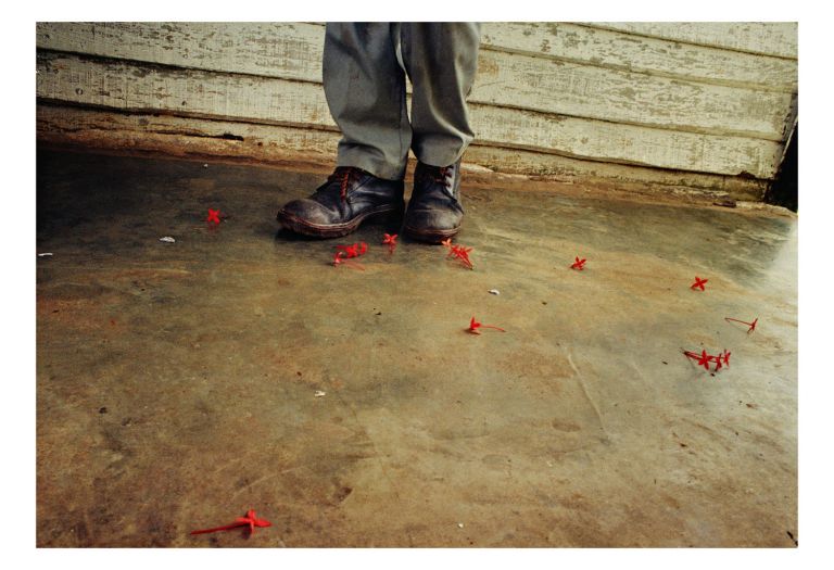 Ernesto Bazan, Boots & Flowers