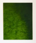 Giuseppe Adamo, Green Area, 2015, acrilico su tela, 100 x 80 cm
