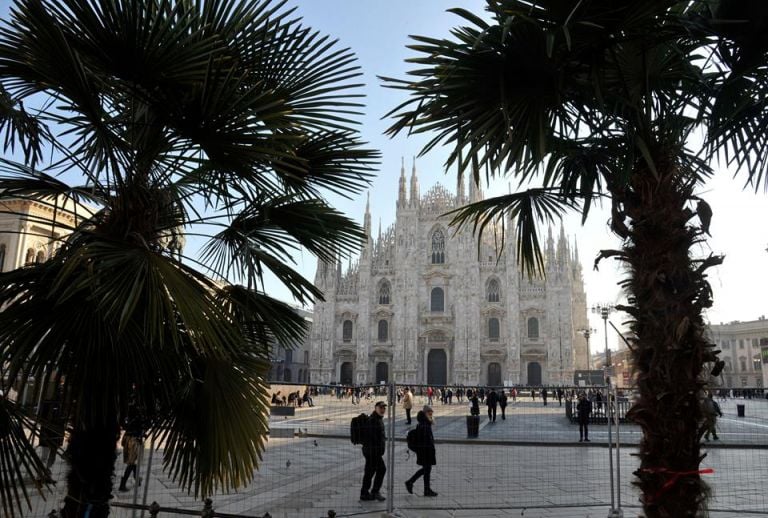 La palme in Piazza Duomo. Ph. Fb, Comune di Milano