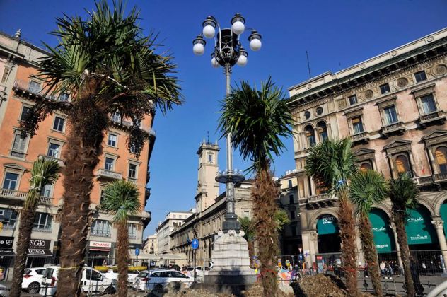 La palme in Piazza Duomo - ph. Fb, Comune di Milano