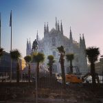 La palme in via di piantumazione a Piazza Duomo, Milano