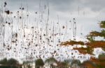 Ori Gersht, Floating World Hanging Sky 03, 2016