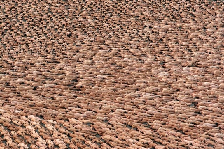 Performance di Spencer Tunick del 6 maggio 2007 al Zócalo