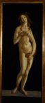 Sandro Botticelli, Torino, Galleria Sabauda, Venere