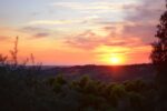 Villa Lena. Tramonto. Photo Niklas Adrian Vindelev