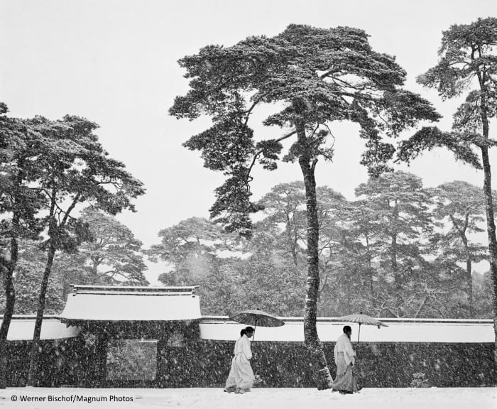Werner Bischof, Courtyard of the Meiji shrine © Magnum Photos