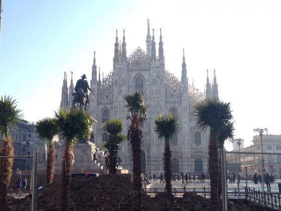 Piazza Duomo con le palme, Milano
