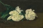 Édouard Manet, Ramo di peonie bianche e cesoie, 1864, olio su tela, 30,5 x 46,5 cm, Parigi, Musée d’Orsay © René-Gabriel Ojéda – RMN-Réunion des Musées Nationaux – distr. Alinari