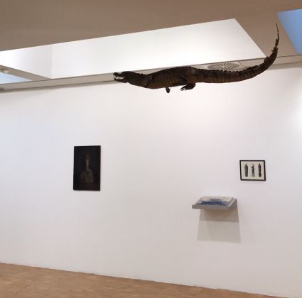 Agostino Arrivabene, Coccodrillo tassidermizzato e, a parete, immagini del fotografo Hans-Peter Blossfeld. MAC, Lissone 2017