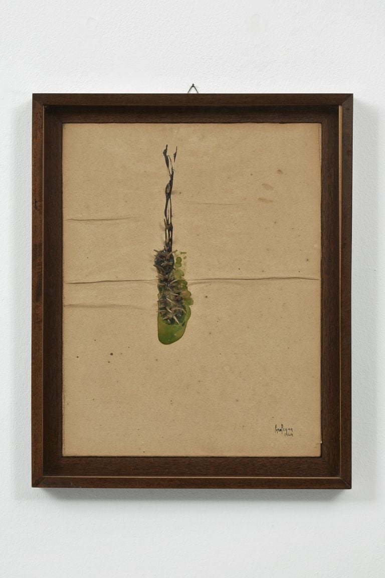 Carol Rama, Bricolage, 1964, enamel and claws on paper, 45,5 x 35 cm cm. Photo Henry Trumble, Melbourne. © Archivio Carol Rama, Torino