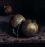 Craigie Horsfield, Two Pomegranates, 2013
