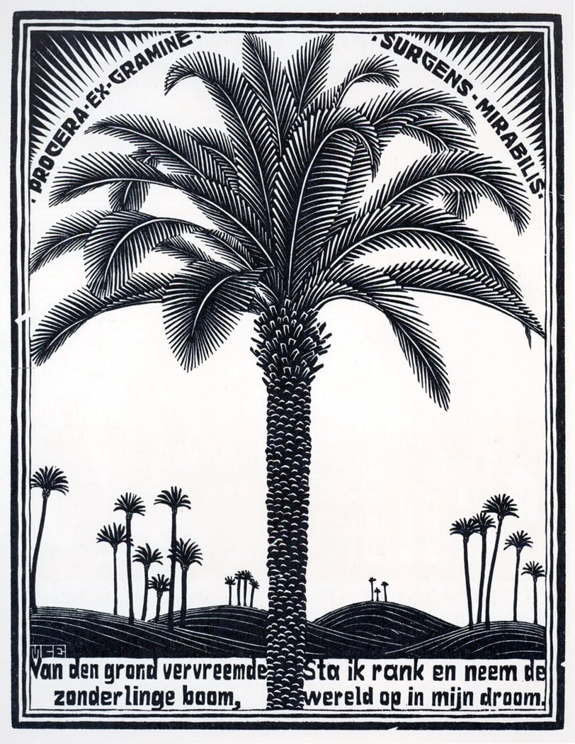 Maurits Cornelis Escher, Palma