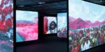 Richard Moss, The Enclave, 2013, installazione video a 6 canali Klm in infrarosso 16mm trasferito su video HD, 39’ 25’’, courtesy l’artista e Jack Shainman Gallery, New York