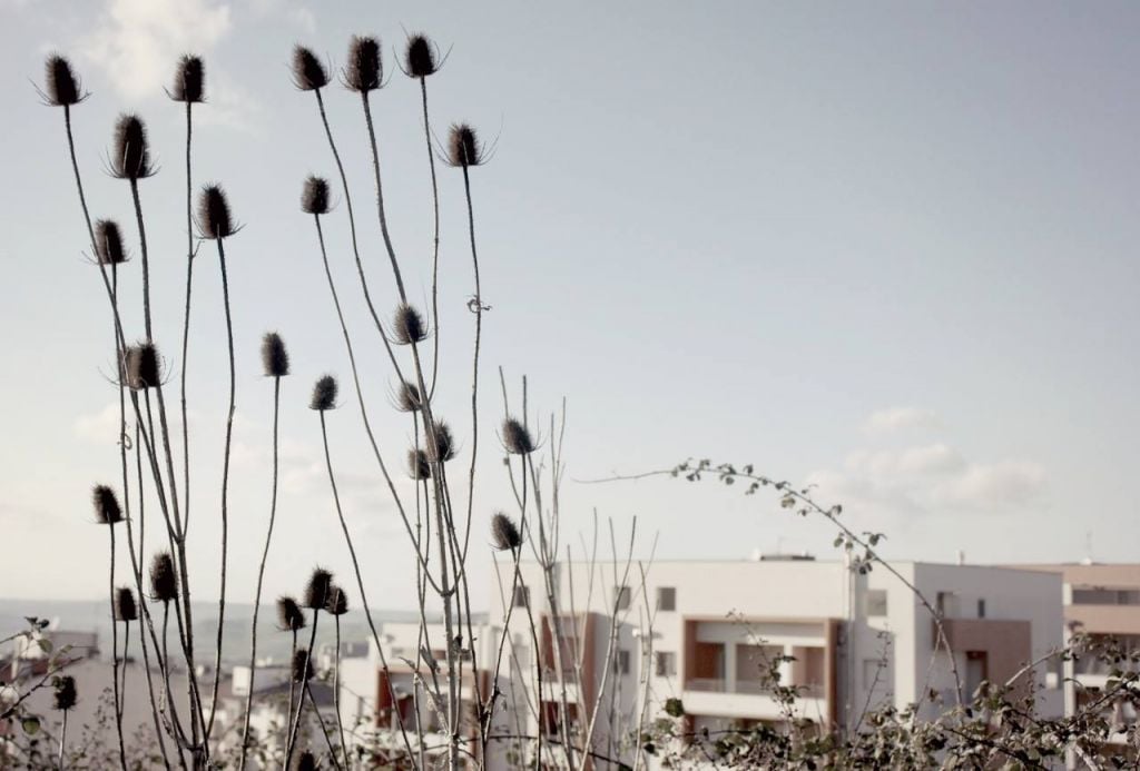 Verso Matera 2019: un’area pubblica in disuso diventa giardino per la comunità