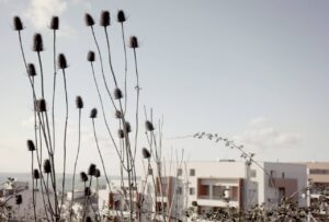 Verso Matera 2019: un’area pubblica in disuso diventa giardino per la comunità