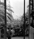 A window at Villa le Rêve with the Etruscan vase that was often painted by Matisse