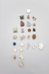 Cabinet of Anthropogenic Specimens © Yesenia Thibault-Picazo