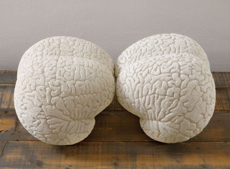 Claudia Losi, Brain (2 pieces), 2008. Courtesy Claudia Losi & Monica De Cardenas Gallery