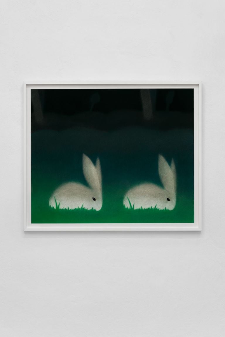 Dana Lok, Double Bunny, 2017. Photo Marco Davolio