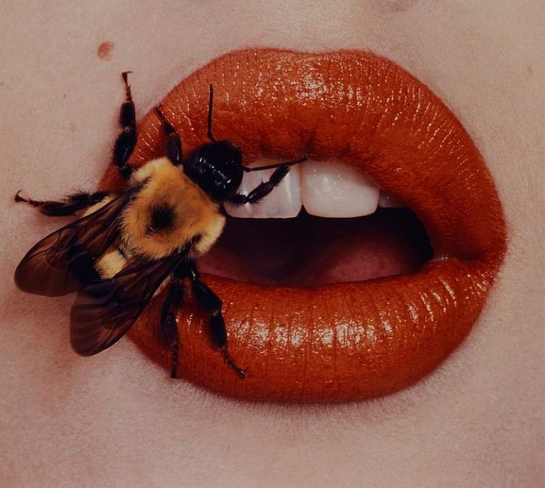 Irving Penn, Ape, New York, 1995