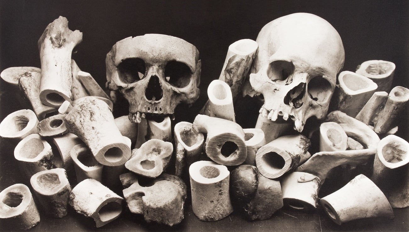 Irving Penn, Bone Forest, New York, 1980 © The Irving Penn Foundation, courtesy Pace and Pace-MacGill Gallery