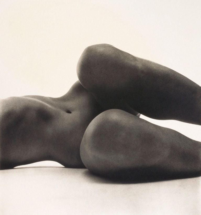 Irving Penn, Nude, n° 58