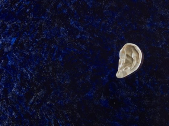 Jan Fabre, dettaglio di Untitled (Bone Ear), (1988), 180 cm x 250 cm, vetro, ossa umane, inchiostro Bic, photo Pat Verbruggen, copyright Angelos bvba
