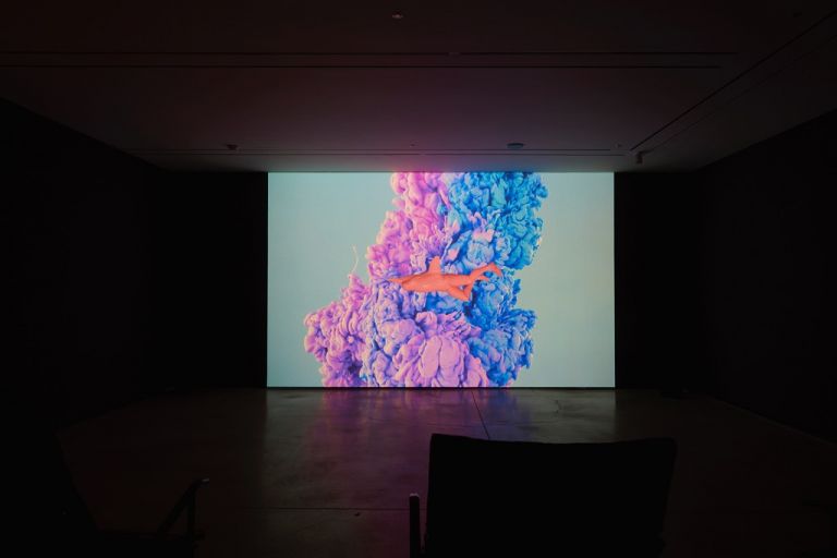 Jihye Yeom, A Night with a Pink Dolphin, 2015. Still da video