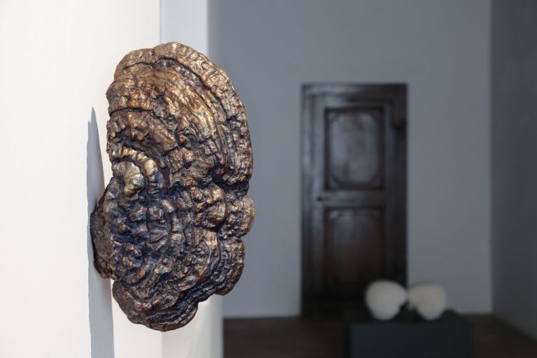 Lupo Borgonovo, Ear, 2015. Courtesy Lupo Borgonovo & Monica De Cardenas Gallery